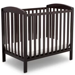 Delta Children Mini Convertible Crib With Mattress