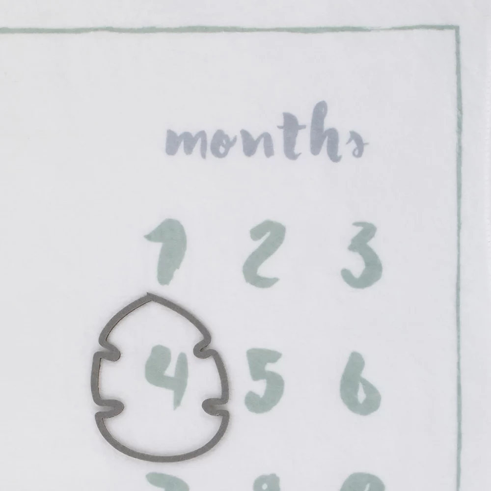 Disney's The Lion King Simba Milestone Baby Blanket 4 Disney's The Lion King Simba Milestone Baby Blanket - Image 4