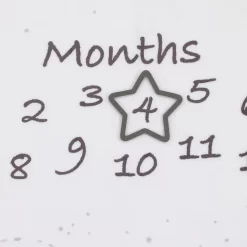 Disney's Dumbo Milestone Baby Blanket -Baby World 5242358 ALT3