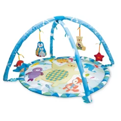 Winfun Polar Fiesta Playmat