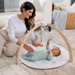 Aden + Anais Baby Activity Gym -Baby World 5506630 ALT3