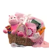 GBDS Our Precious Baby Carrier - Pink - Baby Bath Set - Baby Girl Gifts - New Baby Gift Basket