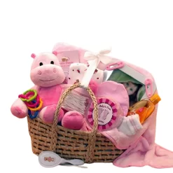 GBDS Our Precious Baby Carrier - Pink - Baby Bath Set - Baby Girl Gifts - New Baby Gift Basket