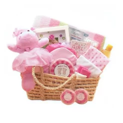 GBDS Our Precious Baby New Baby Carrier -Pink - Baby Bath Set - Baby Girl Gifts